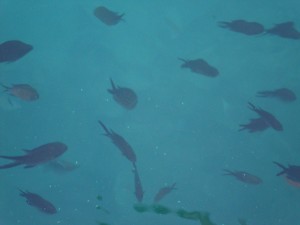 IMG 20091011 143238