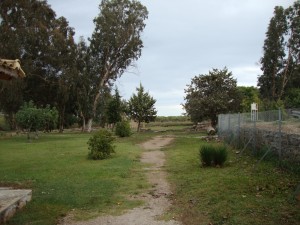 IMG 20091017 163053