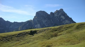 DSC01916
